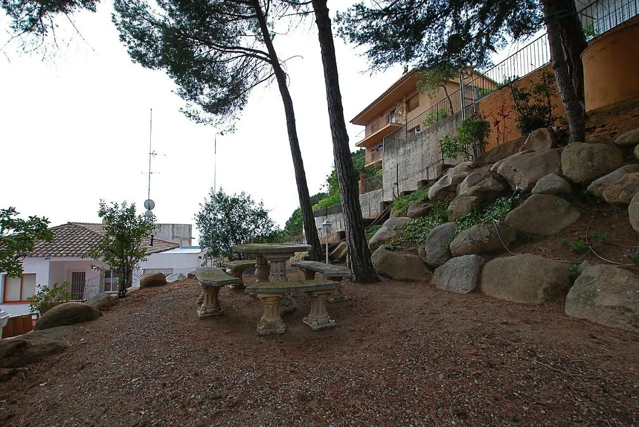 Villa Magnolia Mataro Holiday home